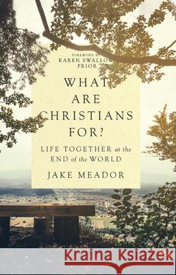 What Are Christians For?: Life Together at the End of the World Jake Meador 9780830847365 IVP