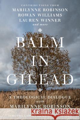 Balm in Gilead: A Theological Dialogue with Marilynne Robinson Timothy Larsen Keith L. Johnson Han-Luen Kantzer Komline 9780830853182 IVP Academic