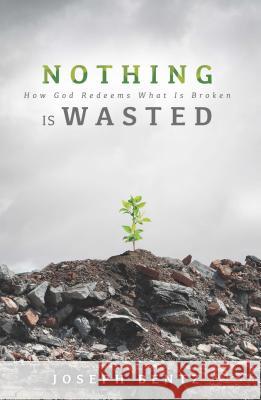 Nothing Is Wasted: How God Redeems What Is Broken Joseph Bentz 9780834135512 Beacon Hill Press of Kansas City
