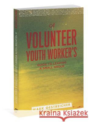 A Volunteer Youth Worker's Guide to Leading a Small Group Mark Oestreicher 9780834151307