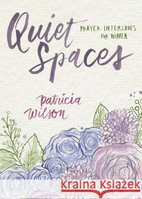 Quiet Spaces: Prayer Interludes for Women Patricia Wilson 9780835809696