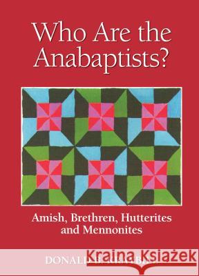 Who Are the Anabaptists?: Amish, Brethren, Hutterites, and Mennonites Donald B. Kraybill 9780836192421 Herald Press