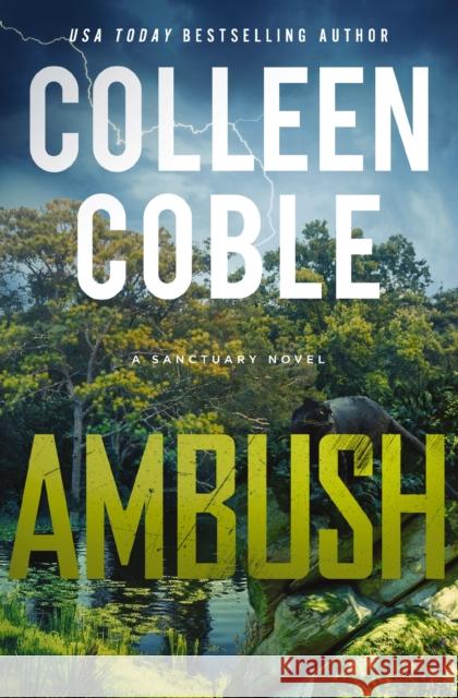 Ambush: A Small-Town Romantic Suspense Colleen Coble 9780840714220 Thomas Nelson