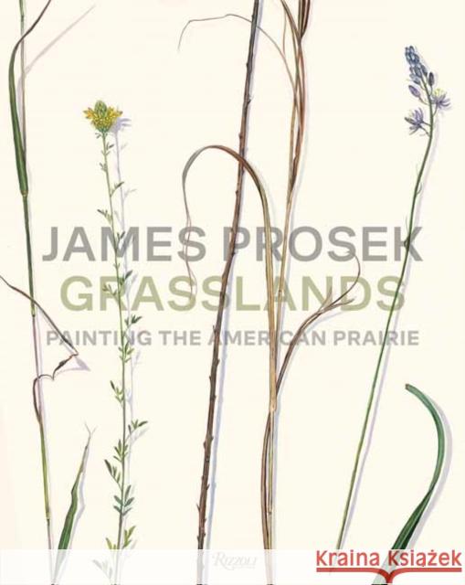 James Prosek Grasslands: Painting the American Prarie Andrew J. Walker 9780847830565 Rizzoli International Publications