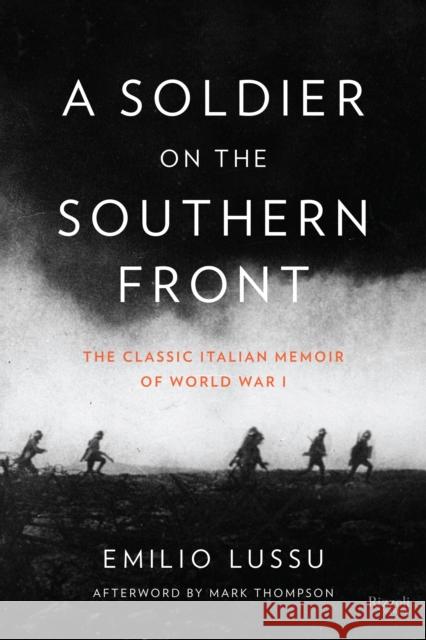 A Soldier on the Southern Front: The Classic Italian Memoir of World War 1 Lussu, Emilio 9780847842780 Rizzoli International Publications
