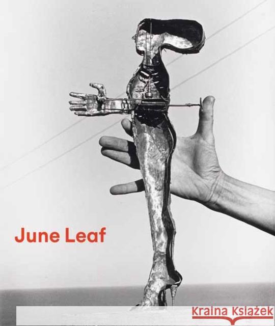 June Leaf: Shooting from the Heart Sam Adams Allison Kemmerer Gordon Wilkins 9780847843534 Rizzoli Electa