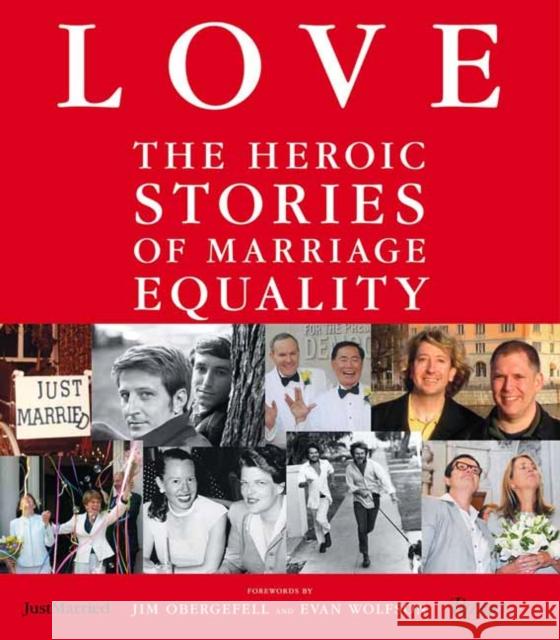 LOVE: The Heroic Stories of Marriage Equality John Casey 9780847847914 Rizzoli International Publications