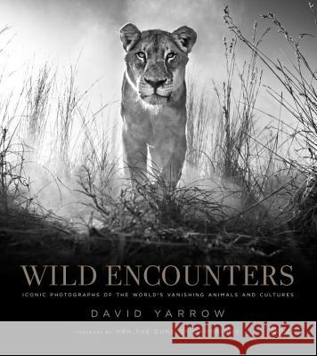 Wild Encounters: Iconic Photographs of the World's Vanishing Animals and Cultures David Yarrow 9780847858323 Rizzoli International Publications