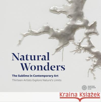Natural Wonders: The Sublime in Contemporary Art: Thirteen Artists Explore Nature's Limits Ramljak, Suzanne 9780847863143 Rizzoli Electa