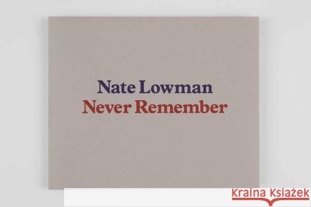 Nate Lowman: Never Remember Paul Alexander 9780847868148 Gagosian / Rizzoli
