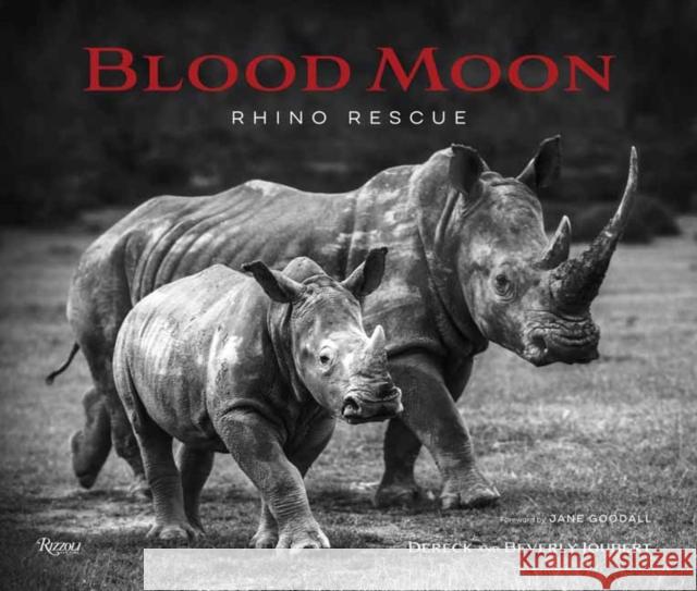 Blood Moon: Rescuing the Rhino Dereck Joubert Beverly Joubert Jane Goodall 9780847868827 Rizzoli International Publications