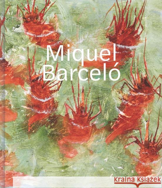 Miquel Barceló Acquavella Galleries 9780847869121 Rizzoli International Publications