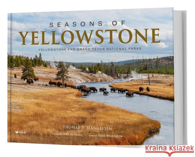 Seasons of Yellowstone: Yellowstone and Grand Teton National Parks Thomas D. Mangelsen Todd Wilkinson Jane Goodall 9780847872336 Rizzoli International Publications