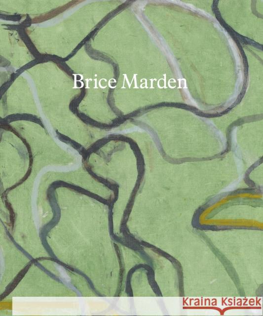 Brice Marden: These Paintings Are of Themselves Weinberger, Eliot 9780847872848 Gagosian/Rizzoli