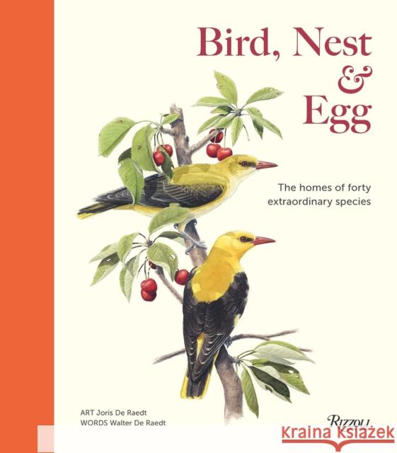 Bird, Nest & Egg: The Homes of Forty Extraordinary Species Joris De Raedt 9780847875900 Rizzoli International Publications