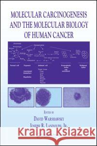 Molecular Carcinogenesis and the Molecular Biology of Human Cancer David Warshawsky Joseph R., Jr. Landolph 9780849311673