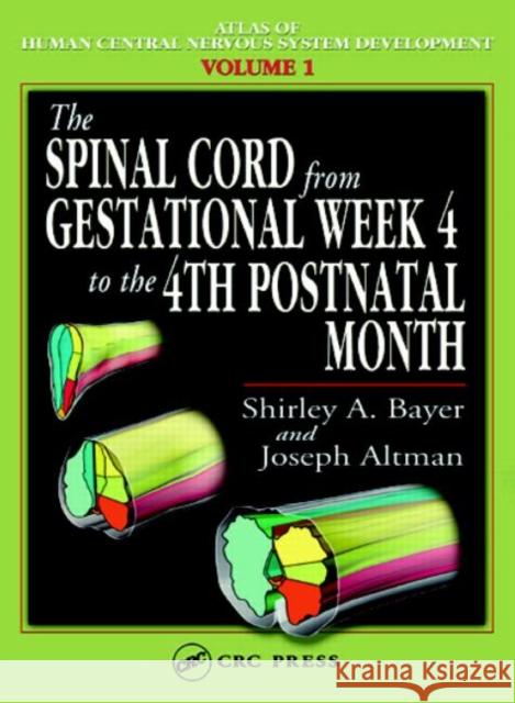 The Spinal Cord from Gestational Week 4 to the 4th Postnatal Month Robert Ed. Altman Shirley A. Bayer Joseph Altman 9780849314209 CRC