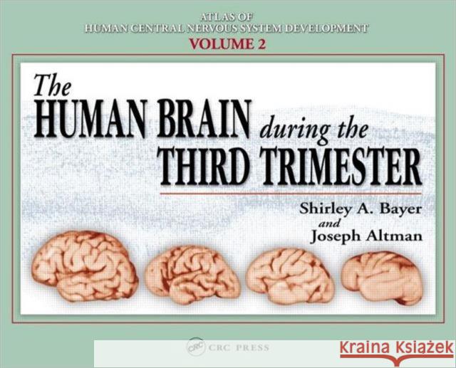 The Human Brain During the Third Trimester Joseph Altman Shirley A. Bayer Bayer A. Bayer 9780849314216 CRC