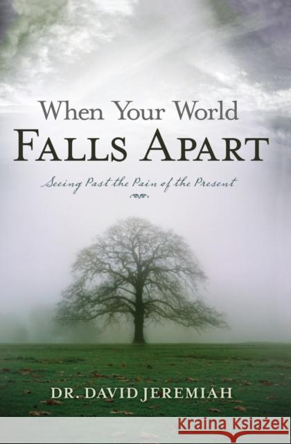 When Your World Falls Apart: See Past the Pain of the Present Jeremiah, David 9780849904363 W Publishing Group
