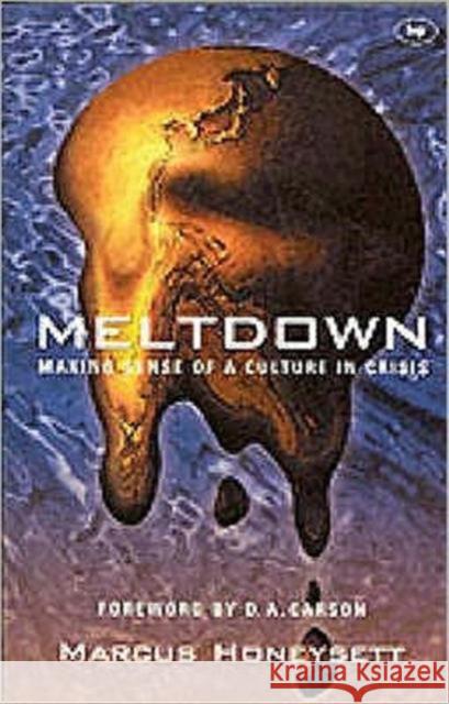 Meltdown: Making Sense of a Culture in Crisis Honeysett, Marcus 9780851114927