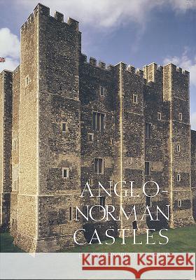 Anglo-Norman Castles Robert Liddiard 9780851159041 Boydell Press