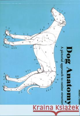 Dog Anatomy: A Pictorial Approach to Canine Structure Peter Goody 9780851316369