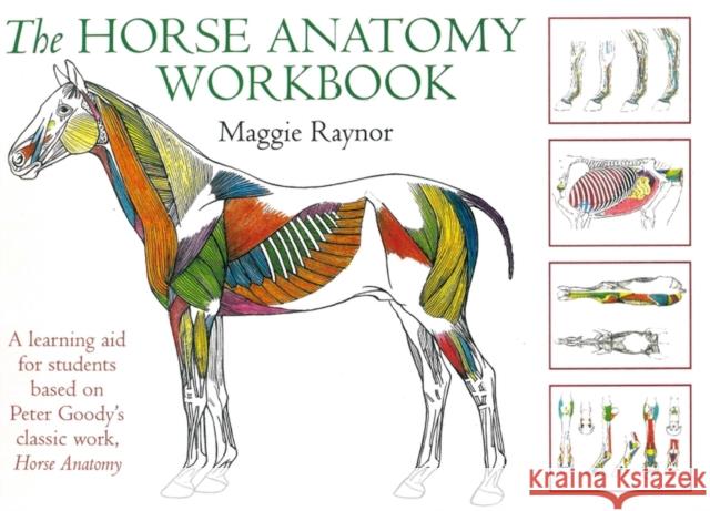 Horse Anatomy Workbook: A Learning Aid for Students Based on Peter Goody's Classic Work, Horse Anatomy Maggie Raynor 9780851319056 The Crowood Press Ltd