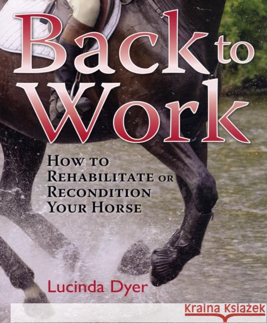 BACK TO WORK Lucinda Dyer 9780851319483 J.A. ALLEN & CO LTD