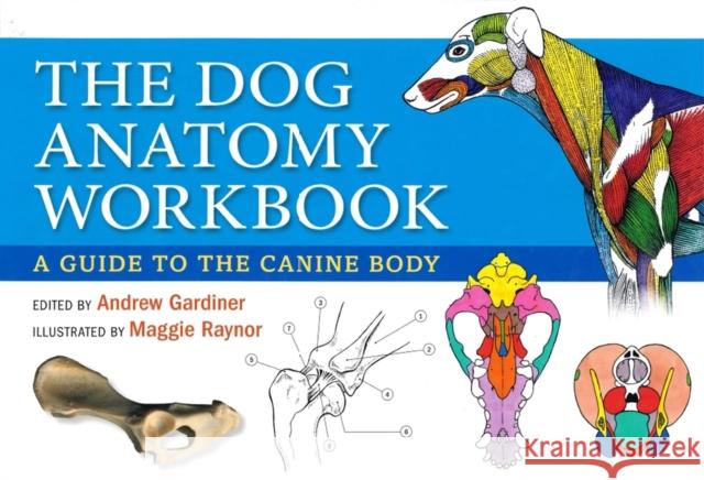 Dog Anatomy Workbook: A Guide to the Canine Body Andrew Gardiner 9780851319834