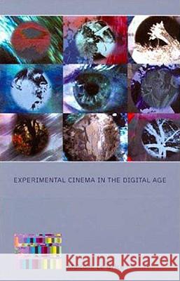 Experimental Cinema in the Digital Age Malcolm L 9780851708720
