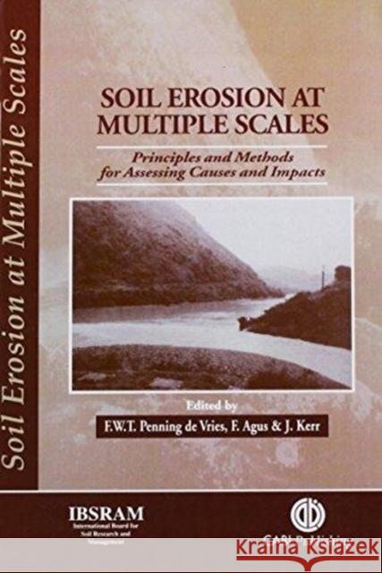 Soil Erosion at Multiple Scales: Principles and Methods for Assessing Causes and Impacts Penning de Vries, Frits W. T. 9780851992907 CABI Publishing