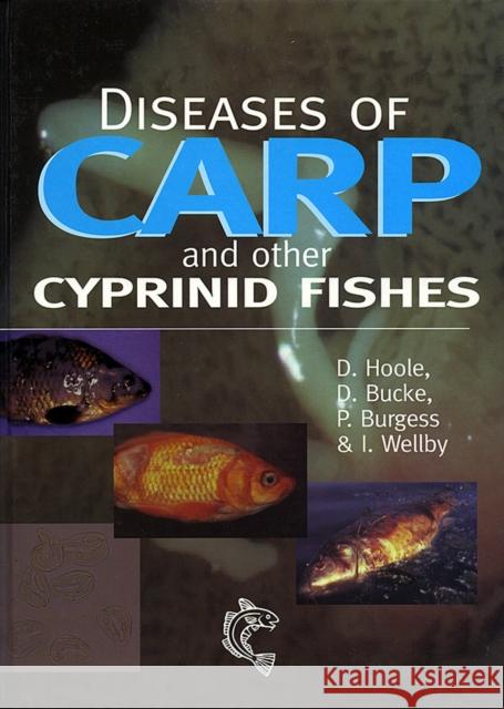 Diseases of Carp and Other Cyprinid Fishes David Hoole David P. Bucke D. Hoole 9780852382523 Blackwell Publishing Professional