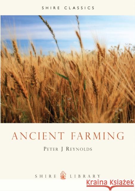 Ancient Farming Peter Reynolds 9780852638767