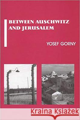 Between Auschwitz and Jerusalem Gorny, Yosef 9780853034193 Vallentine-Mitchell
