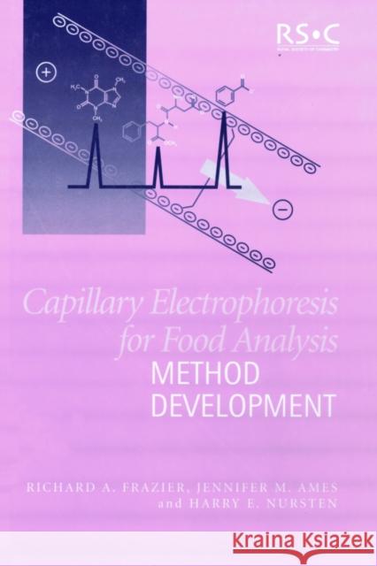 Capillary Electrophoresis for Food Analysis: Method Development Frazier, Richard A. 9780854044924 ROYAL SOCIETY OF CHEMISTRY