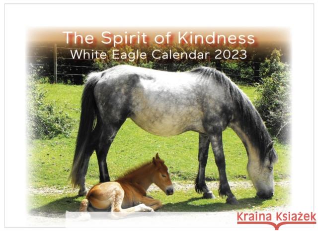 The Spirit of Kindness -  White Eagle Calendar 2023 White Eagle 9780854872503