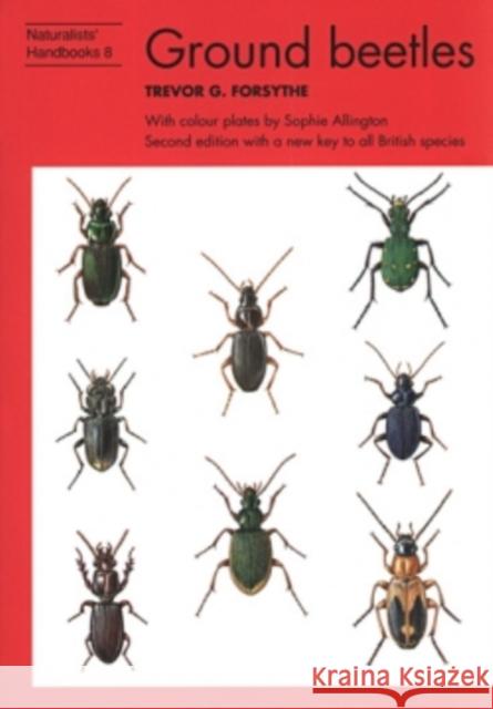 Ground beetles Trevor G. Forsythe 9780855462635 RICHMOND PUBLISHING CO LTD