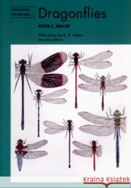 Dragonflies  Miller P.L. 9780855462994 Richmond Publishing Ltd