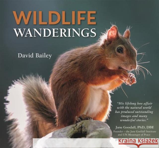 Wildlife Wanderings David Bailey 9780857043528