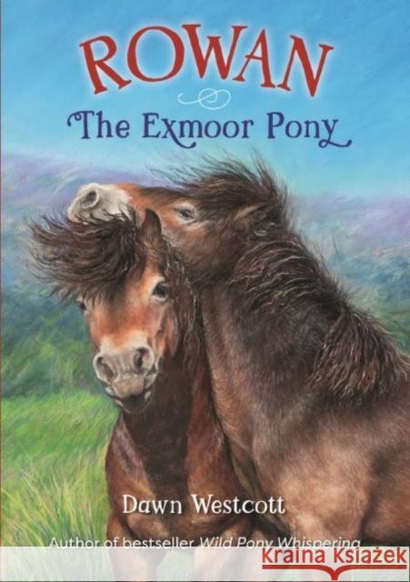 Rowan The Exmoor Pony Dawn Westcott 9780857043573 Halsgrove