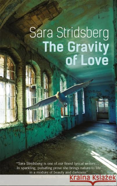 The Gravity of Love Sara Stridsberg 9780857054784