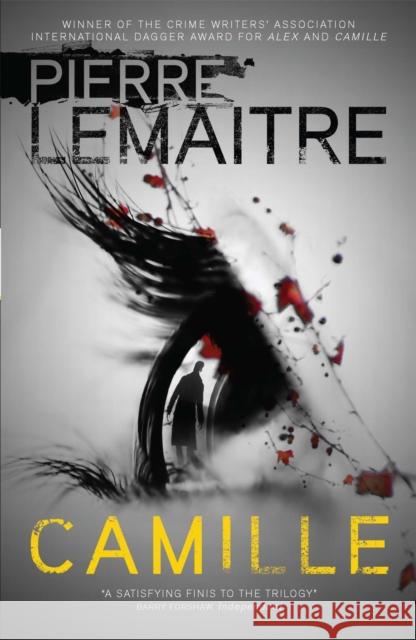 Camille: The Final Paris Crime Files Thriller Pierre Lemaitre 9780857056283 Quercus Publishing