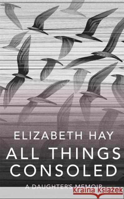 All Things Consoled Elizabeth Hay 9780857059116