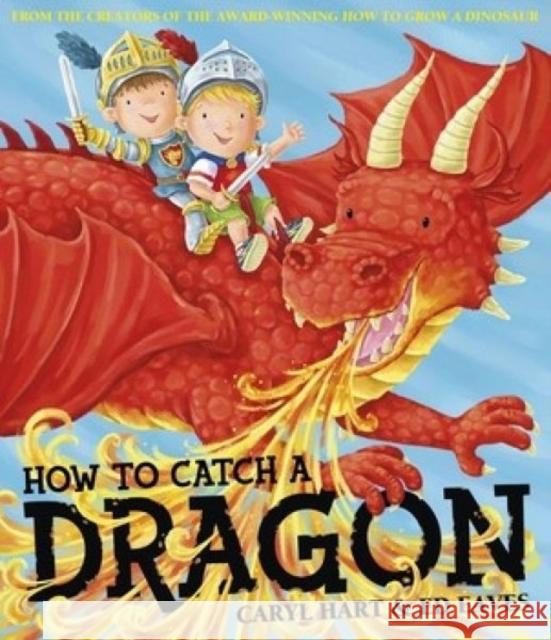 How To Catch a Dragon Caryl Hart 9780857079596 Simon & Schuster Ltd