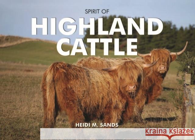 Spirit of Highland Cattle Heidi M. Sands 9780857100542 PiXZ Books