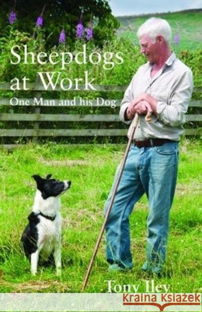 Sheepdogs at Work: One Man and His Dog Tony Iley 9780857160201 McNidder & Grace