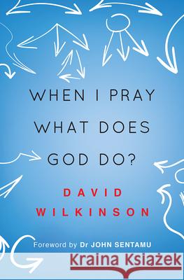 When I Pray, What Does God Do? David Wilkinson 9780857216045