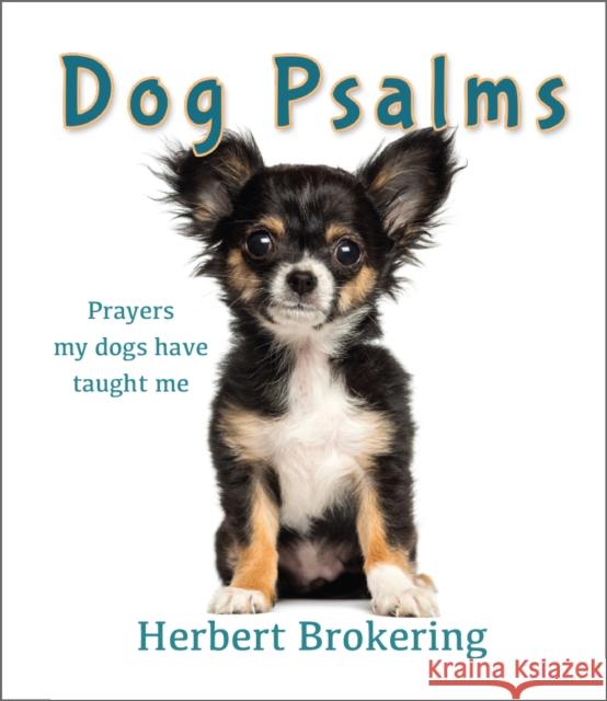 Dog Psalms: Prayers my dogs have taught me Herbert Brokering 9780857217448 SPCK Publishing