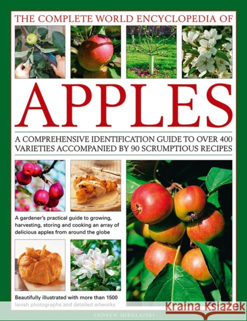 The Complete World Encyclopedia of Apples Andrew Mikolajski 9780857238665 Anness Publishing