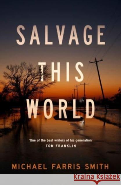 Salvage This World Michael Farris Smith 9780857305565